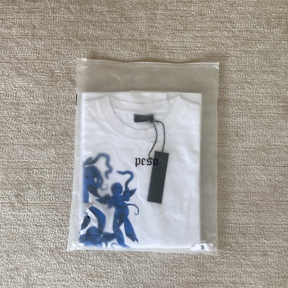 Peso Oversized Cotton T-shirt - Picture 13 of 13